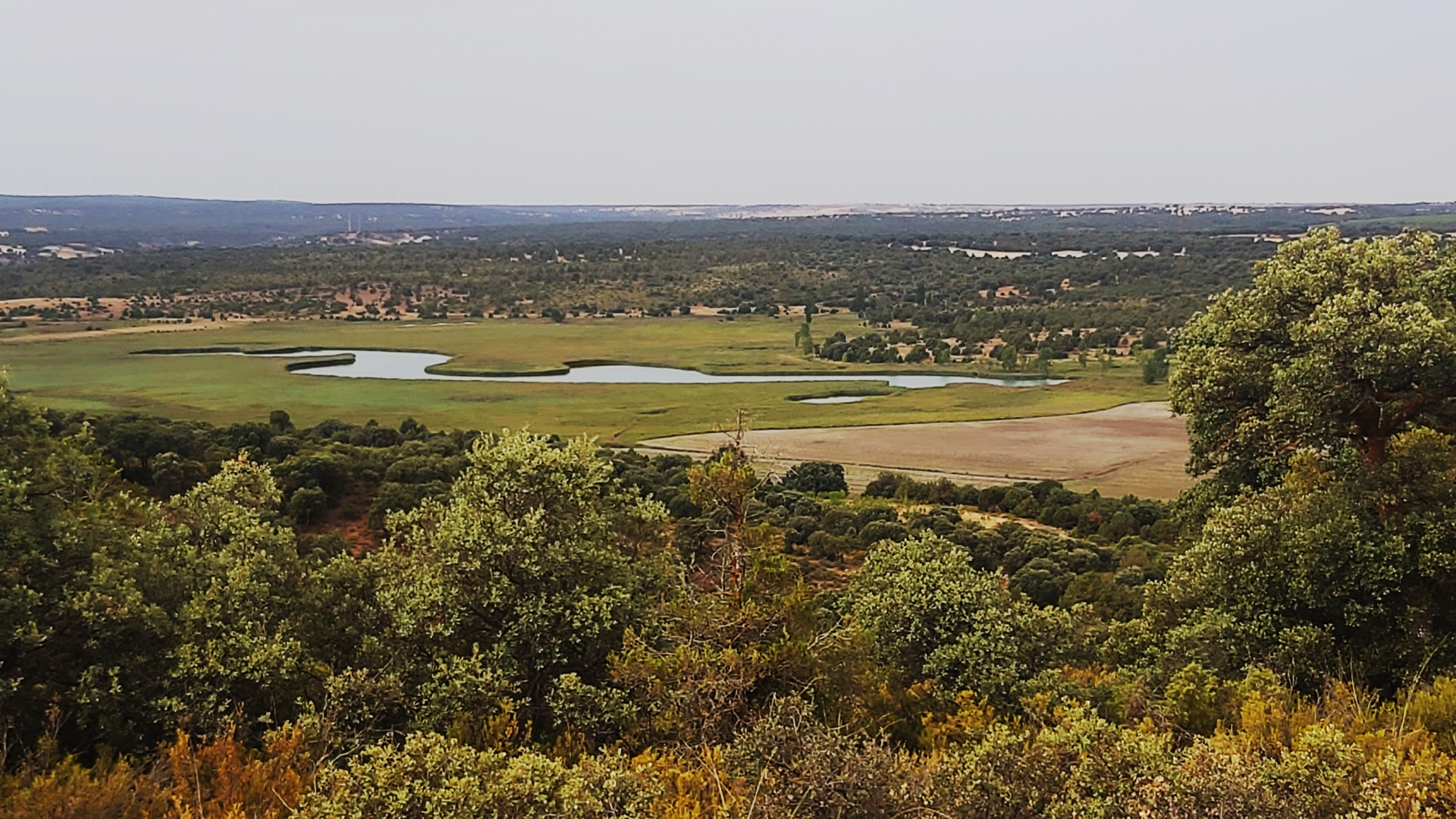 Albacete Ahora Laguna de los Ojos de Villaverde