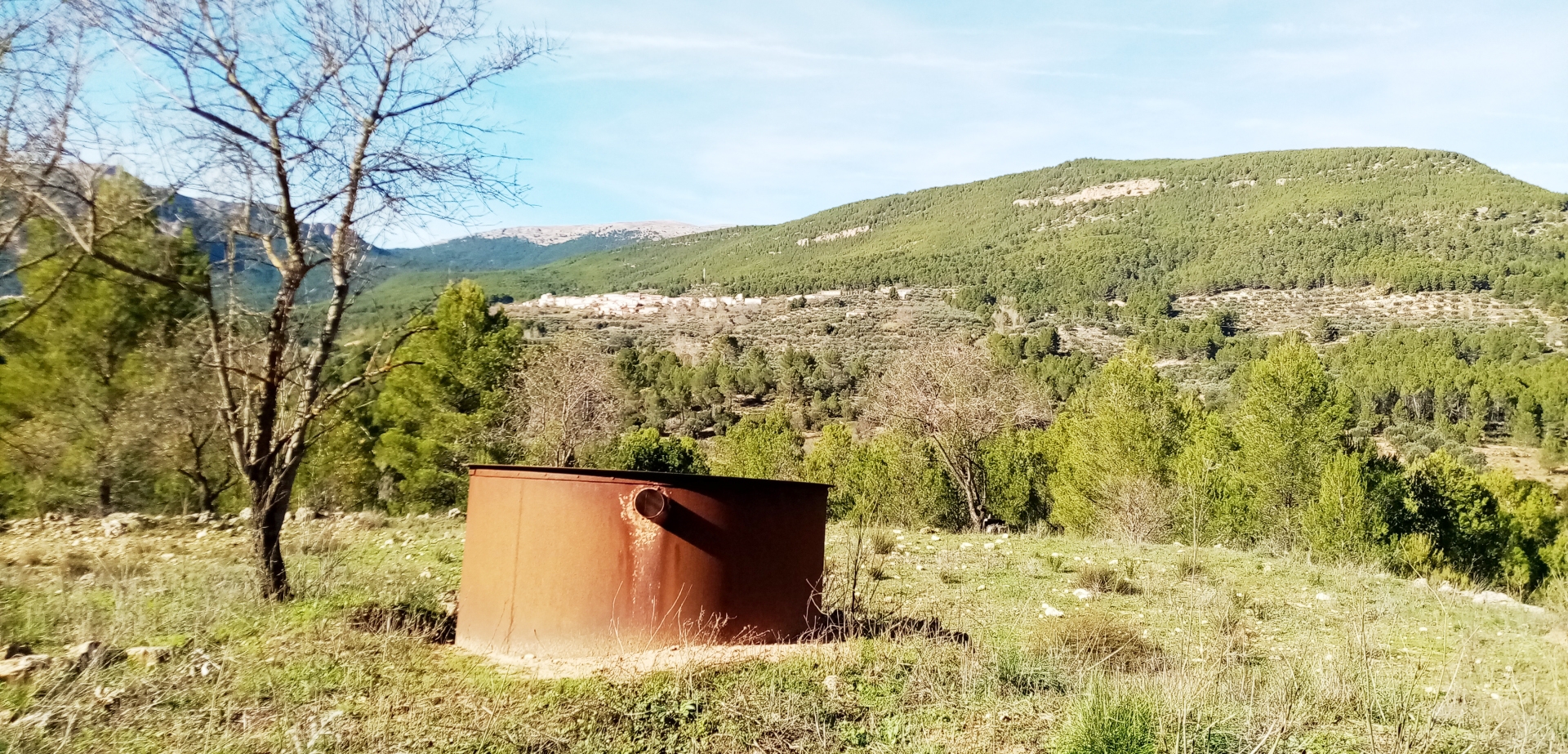 Albacete Ahora Caldera para esencias y al fondo Majada Carrasca