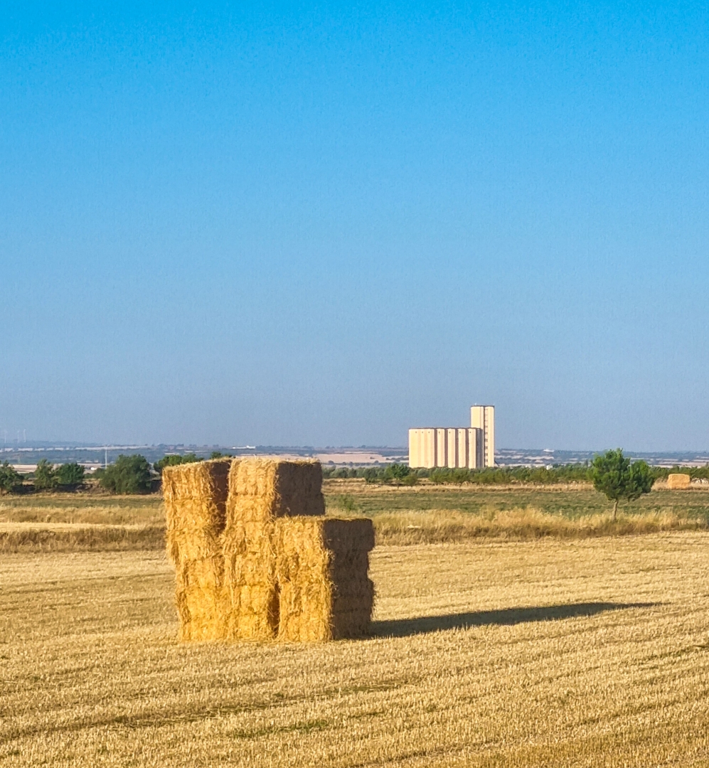 Albacete Ahora Silo de Minaya