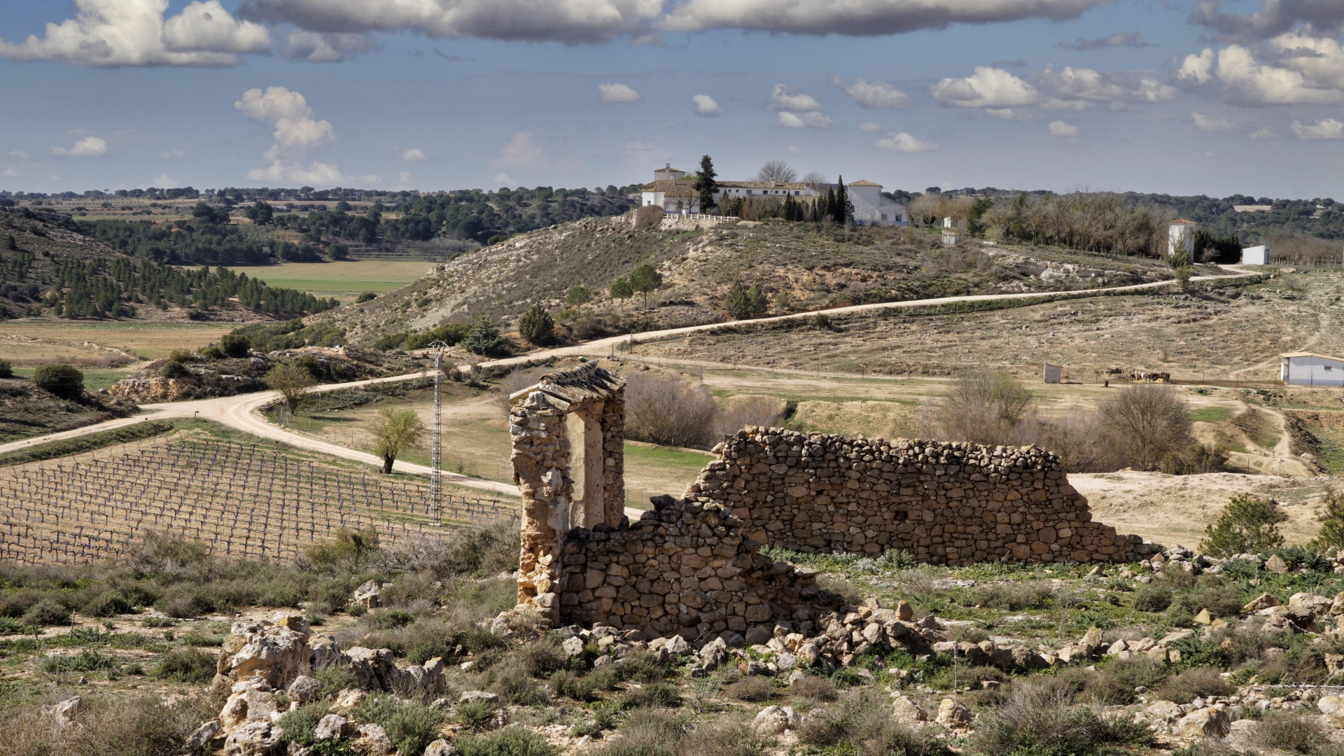 Albacete Ahora Por los campos de Abengibre