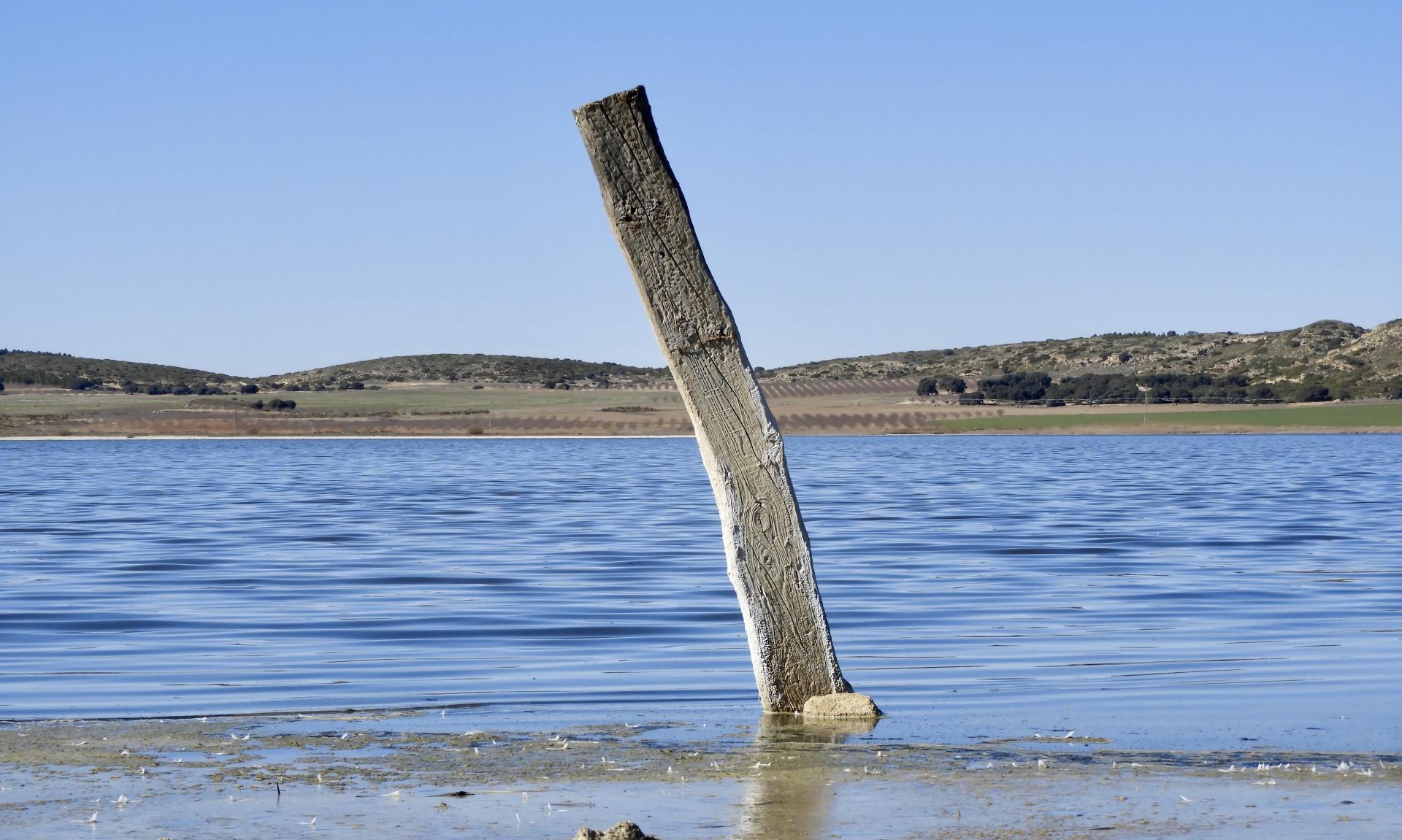 Albacete Ahora LAGUNA DE PETROLA