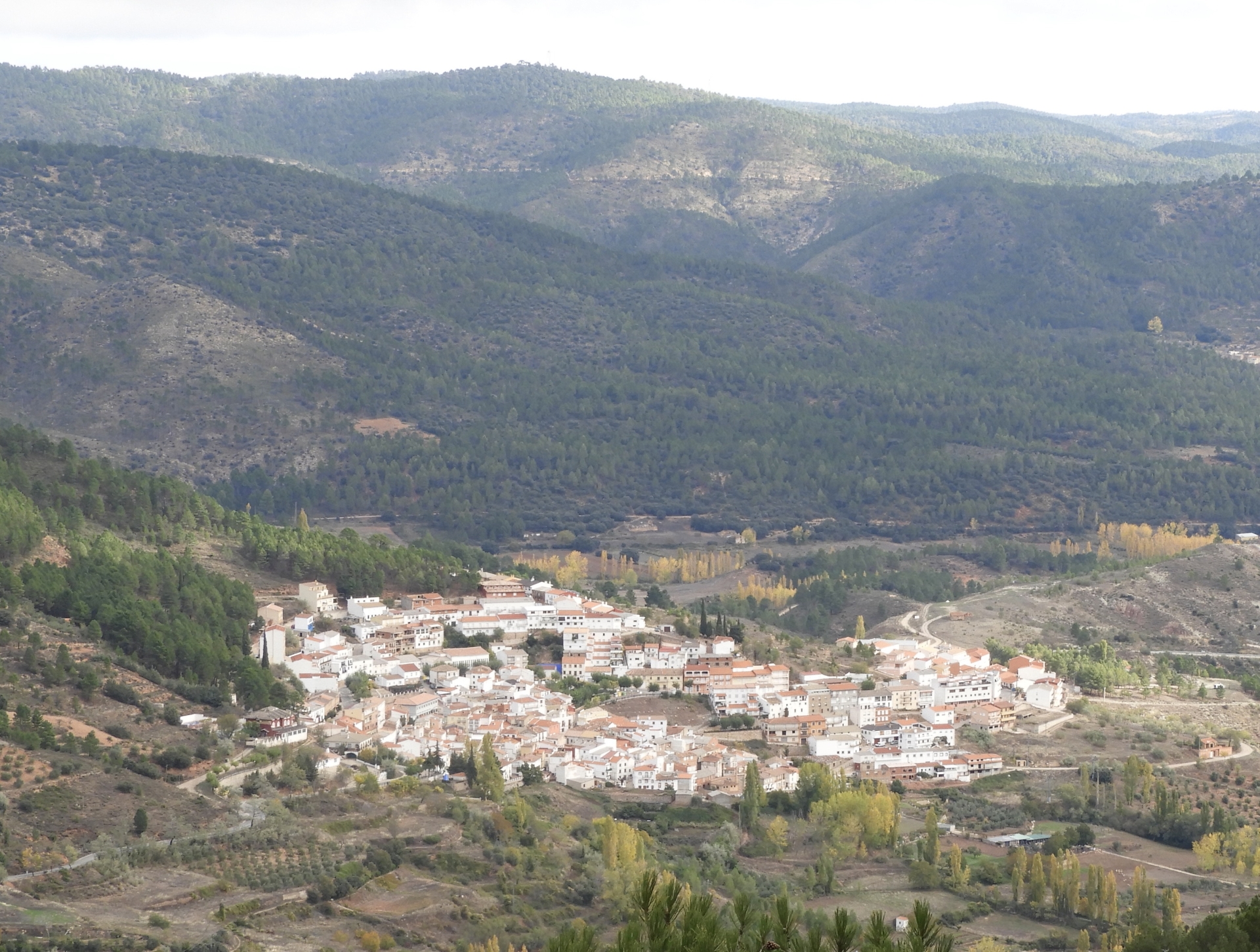 Albacete Ahora PATERNA DEL MADERA