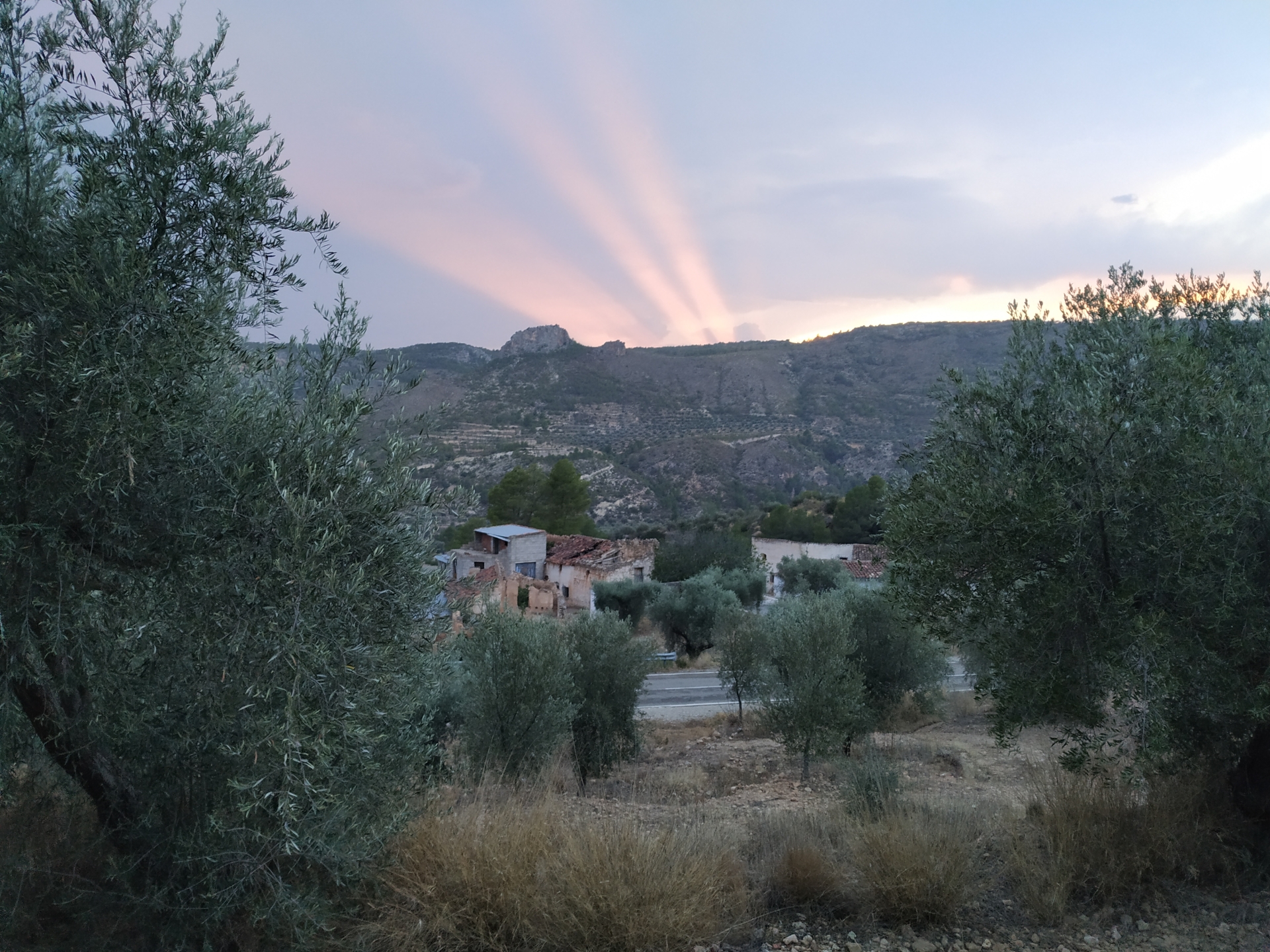 Albacete Ahora Atardecer estival en El Morcillar