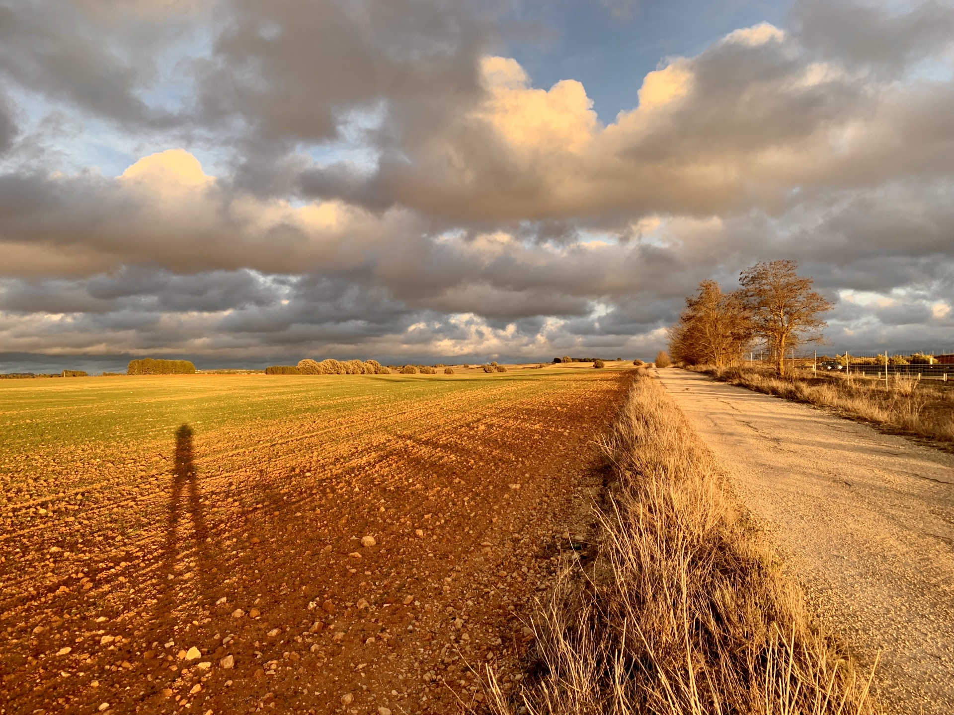 Albacete Ahora Campos de Venta Alhama