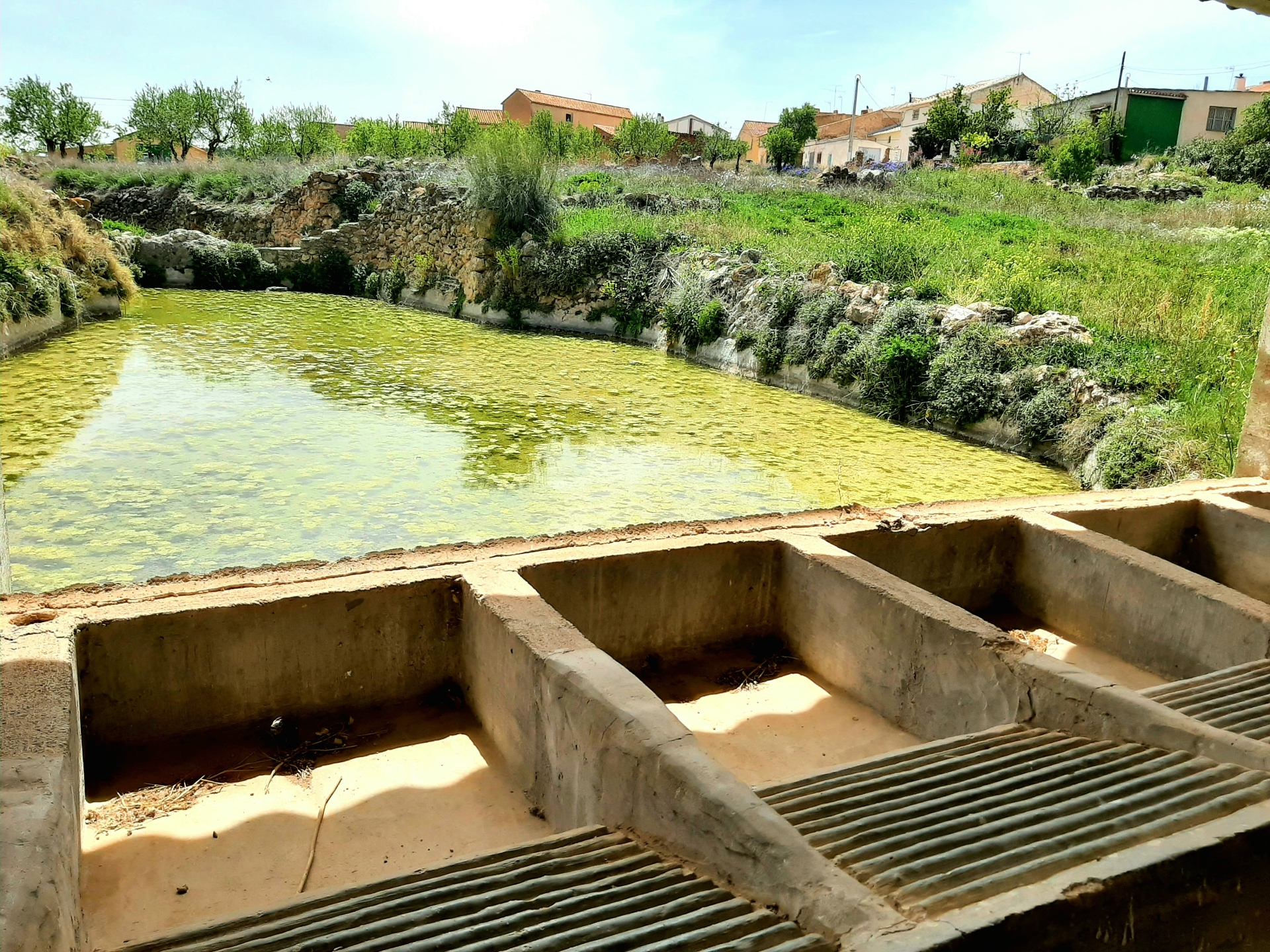 Albacete Ahora Lavaderos y estanque de Moriscote
