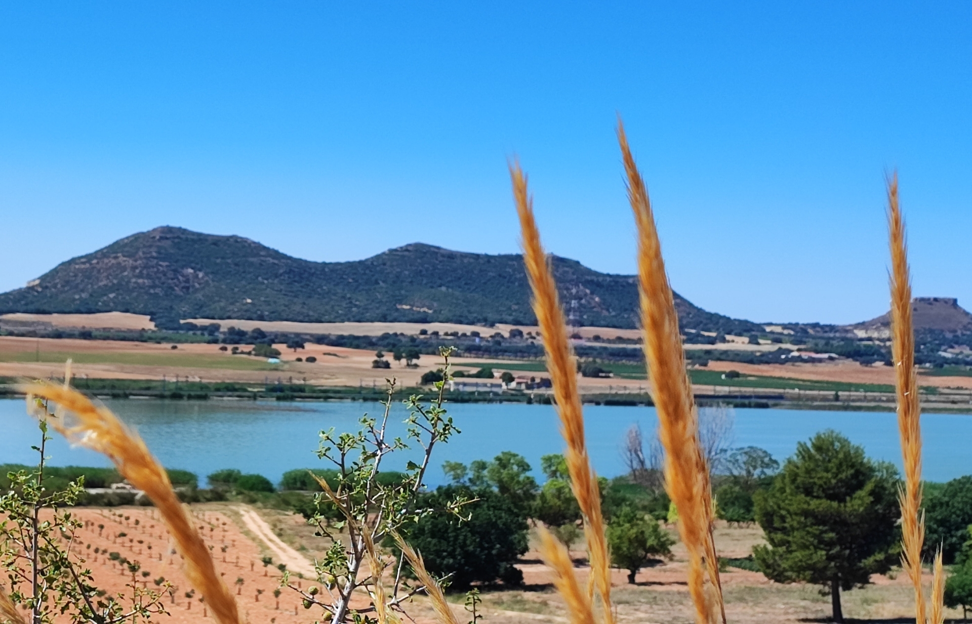 Albacete Ahora Laguna del Salobralejo