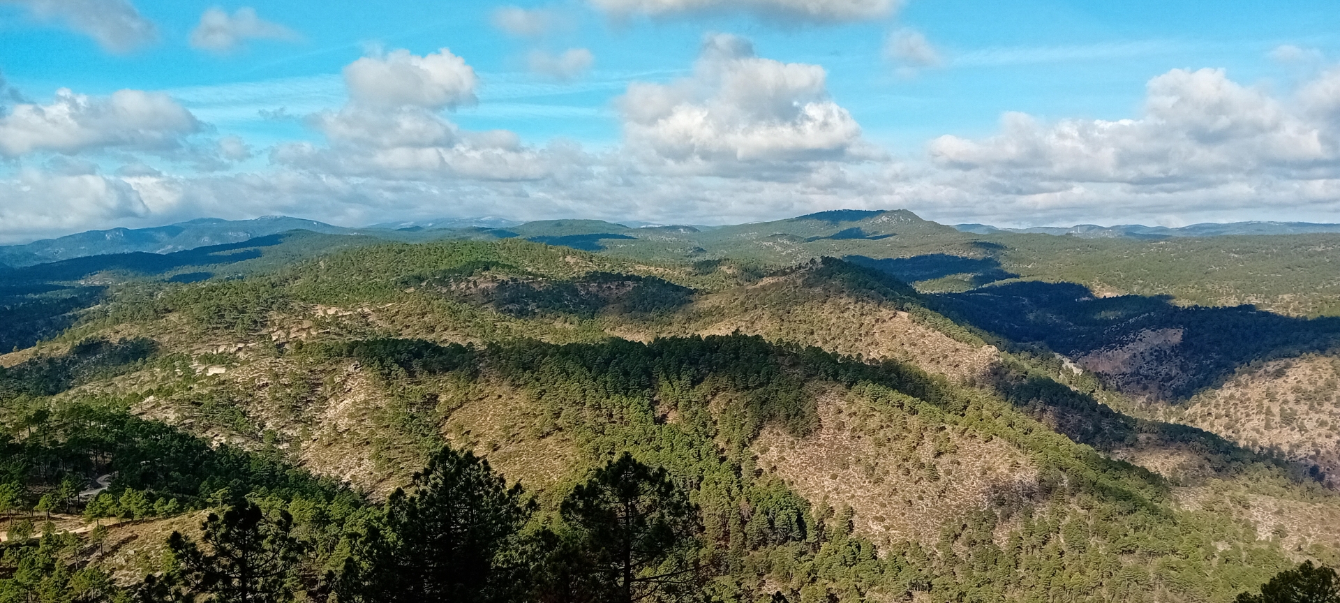 Albacete Ahora Cima del Padrastro