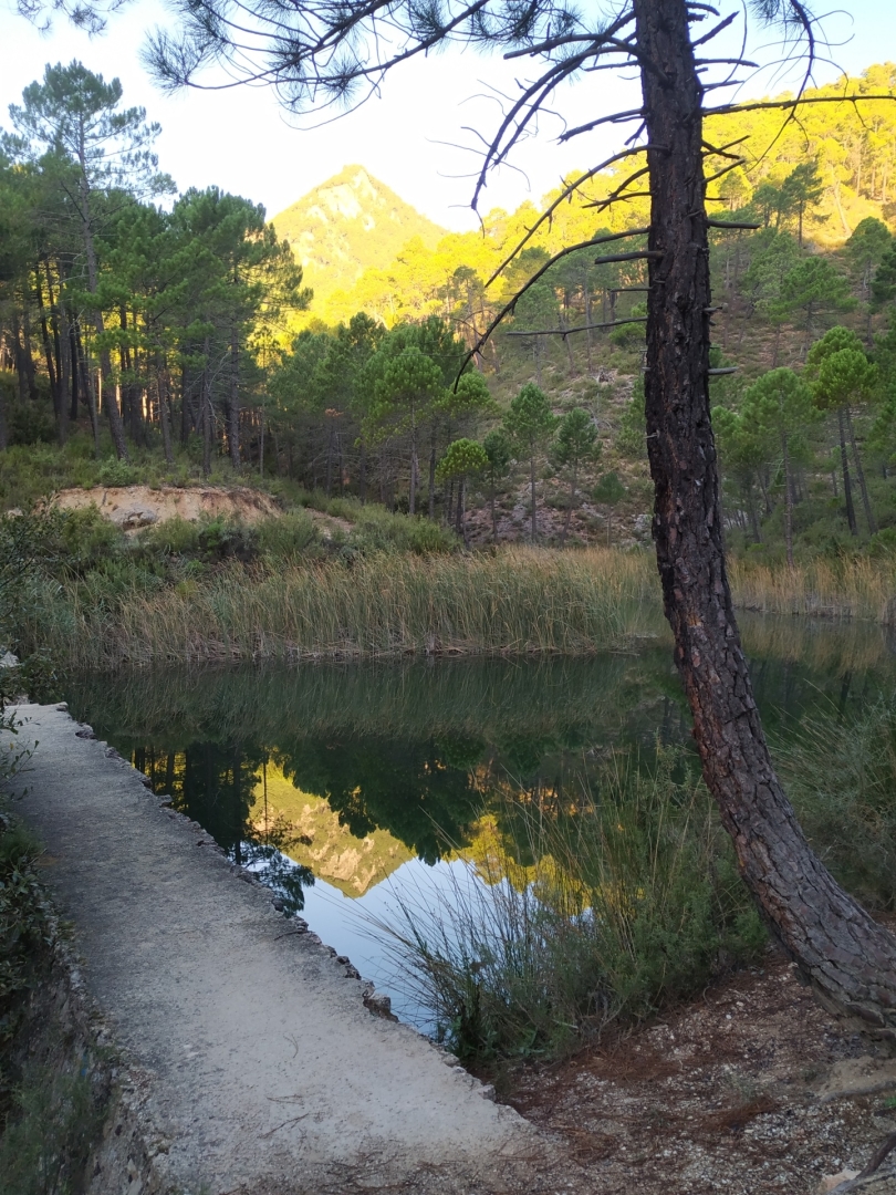 Albacete Ahora Presa en Mesones