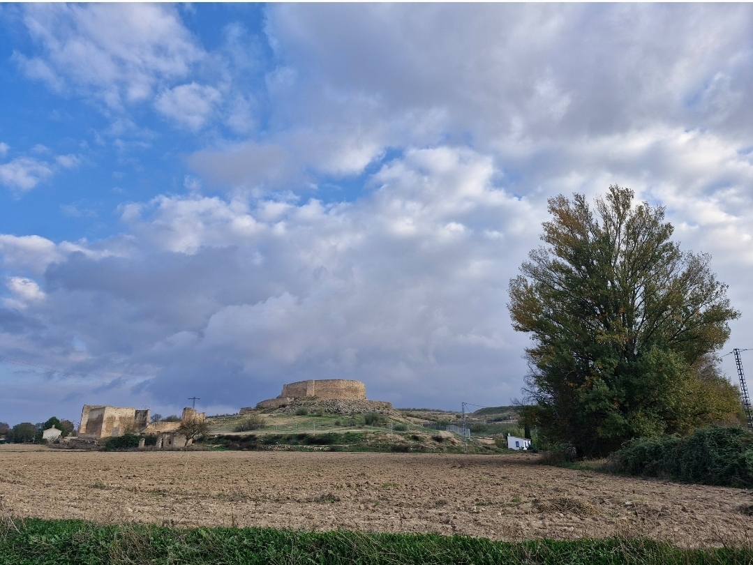 Albacete Ahora Castillo